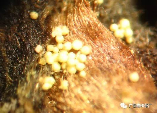 圖片4.png 圖片4.png