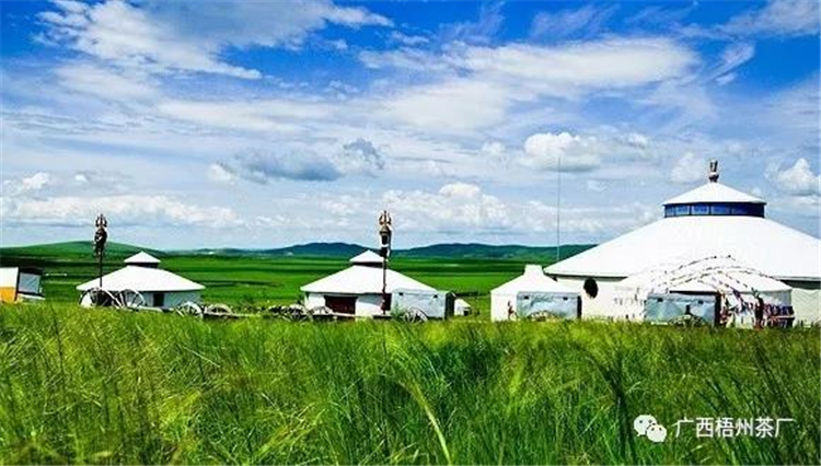 微信圖片_20190702082553_副本.jpg 微信圖片_20190702082553_副本.jpg